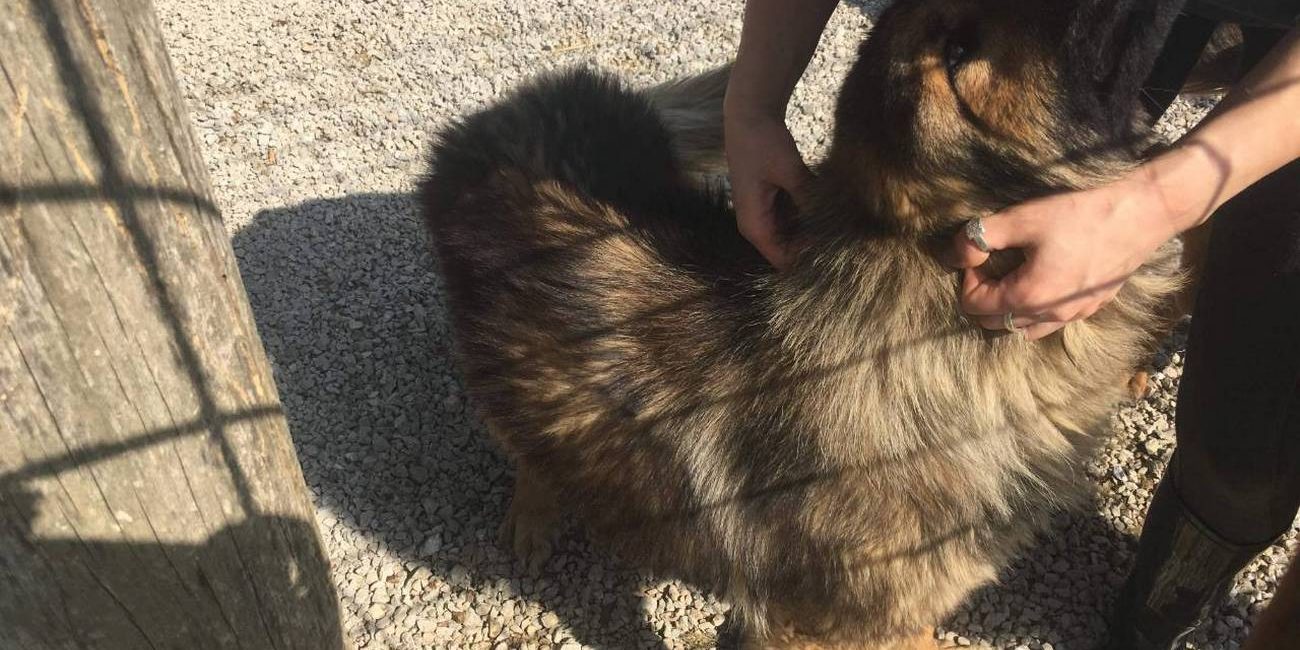 Udruga – stavljanje doniranih ampula